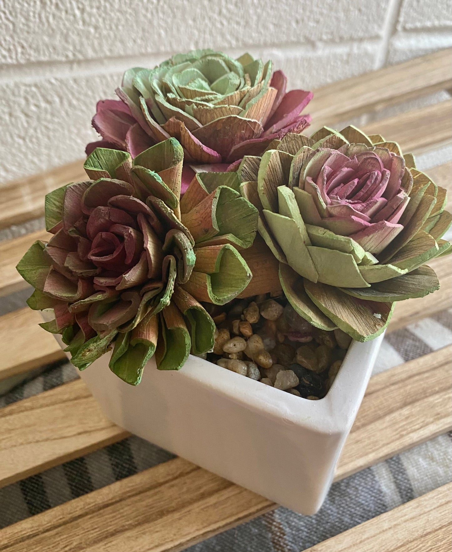 Succulents