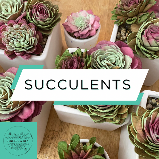 Succulents